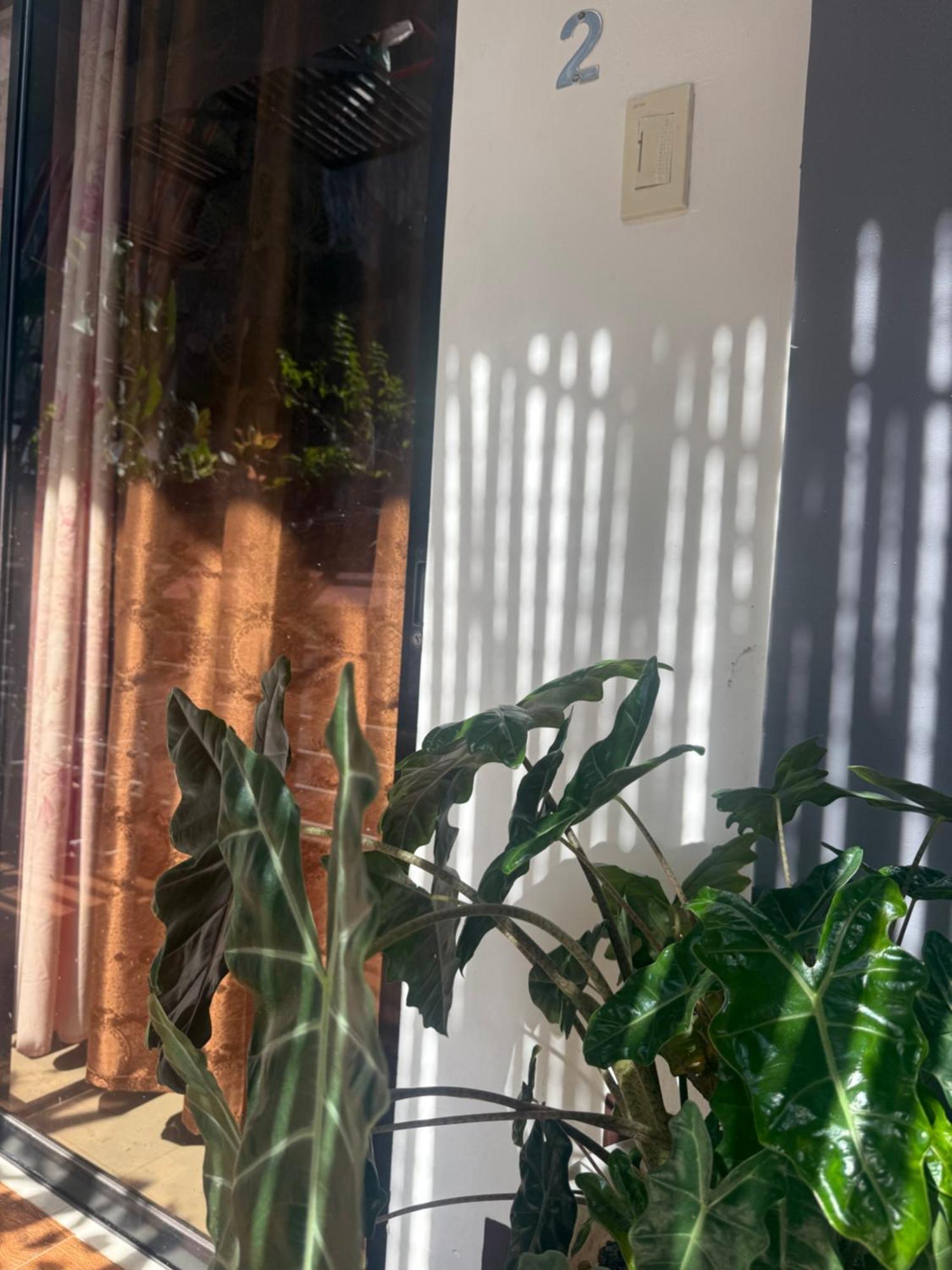 Lolo Bob'S Bed And Breakfast Эль-Нидо Экстерьер фото