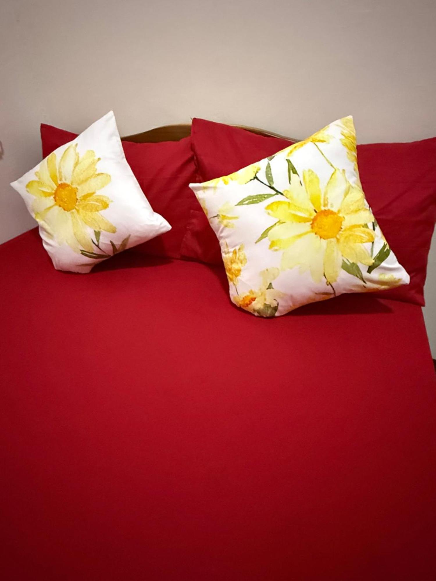 Lolo Bob'S Bed And Breakfast Эль-Нидо Экстерьер фото